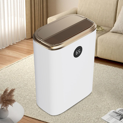 Beli Home Mini Humidifier Dehumidifier Purifier Udara 2 In 1 8L/Day Custom pembuatan online