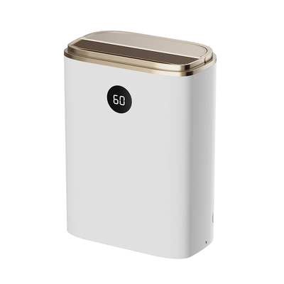 Rumah tangga Hepa Filter Air Purifier Dehumidifier In One Untuk Lemari Kering OEM