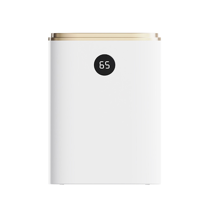 ODM Rumah Tangga Hepa Purifier Udara Dan Dehumidifier Humidifier Untuk Seluruh Rumah